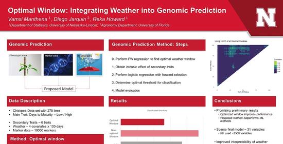 The Search for Optimal Weather Window